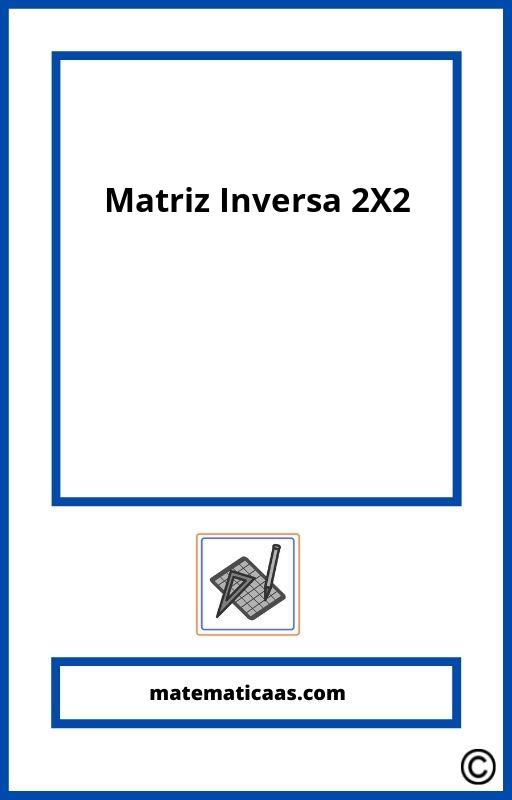 Matriz Inversa 2X2 Ejercicios Resueltos